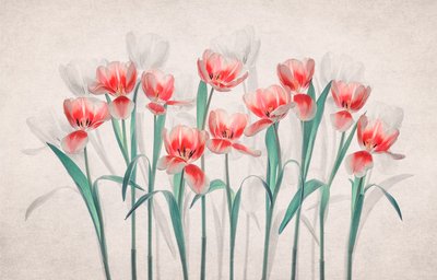 Eteriska rosa tulpaner av Lydia Jacobs