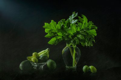 Frodigt botaniskt stilleben av Lydia Jacobs