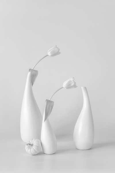 Minimalistiska vita tulpaner av Lydia Jacobs