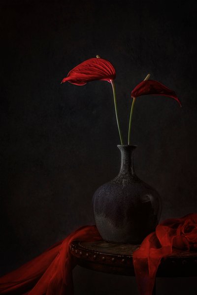 Stämningsfulla röda anthurium av Lydia Jacobs