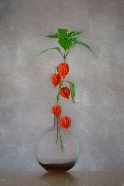 Vas med orange lyktor av Lydia Jacobs