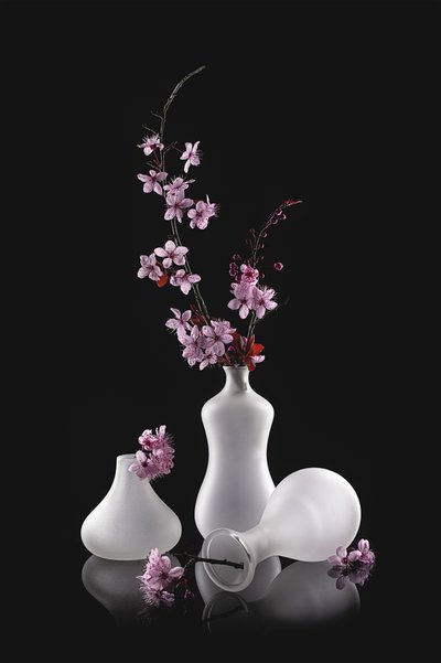 Rosa blommor, frostade vaser av Lydia Jacobs