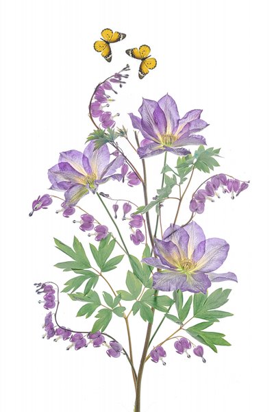 Lila blommor och fjärilar av Lydia Jacobs