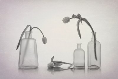 Stilla tulpanstilleben av Lydia Jacobs
