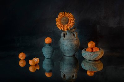 Livfull solros, mandariner av Lydia Jacobs