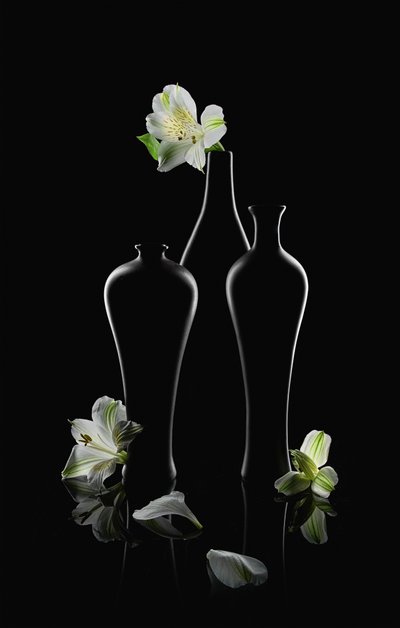 Vita blommor, mörka vaser av Lydia Jacobs
