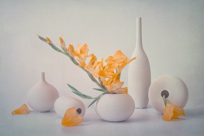 Gula blommor och vita vaser av Lydia Jacobs