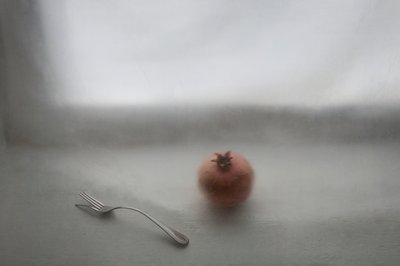 Stilleben med mjuk granatäpple av Lysenko Elena