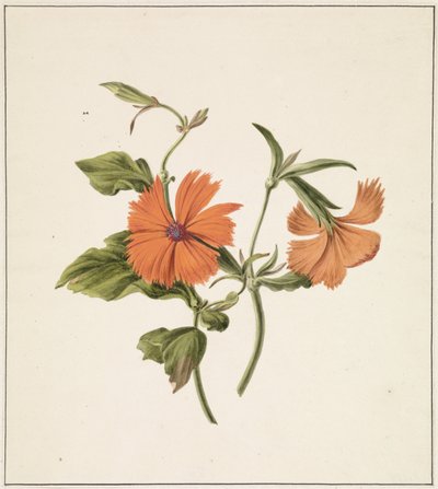 Gul kinesisk ros (Rosa Chinensis Lutea) av M. de Gijselaar