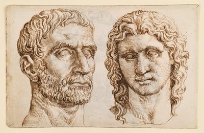 Huvud av en äldre man, huvud av en yngling av Maarten van Heemskerck