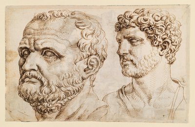 Två huvuden av antika statyer av Maarten van Heemskerck