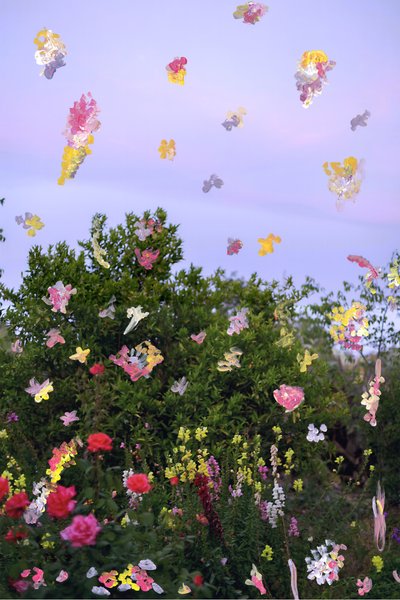 Abstraherade blommor, 2019 (akrylfärg på arkivbeständigt pigmenttryck) av Madeleine Gross