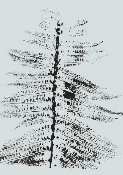 Black Ink Fern av Maira Ribena