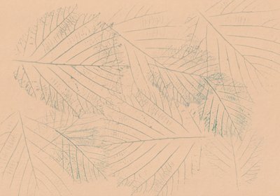 Botaniskt bladmönster av Maira Ribena
