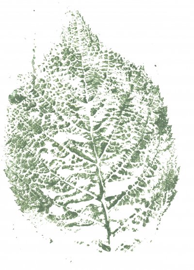 Botaniskt bladmönster av Maira Ribena