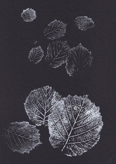 Botaniska bladmönster av Maira Ribena