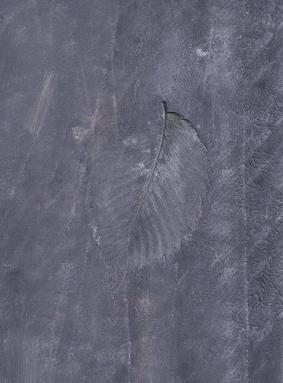 Intryck av mörka blad av Maira Ribena