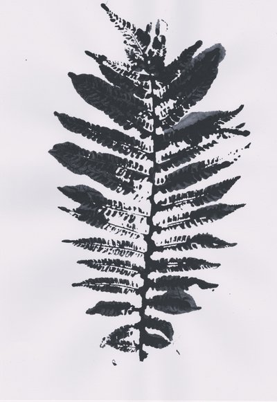 Elegant Fern Leaf av Maira Ribena
