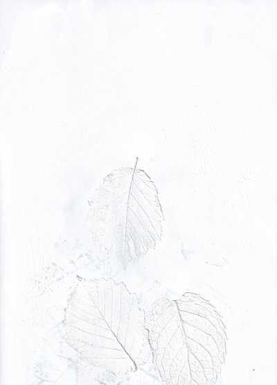 Eteriska vita blad av Maira Ribena