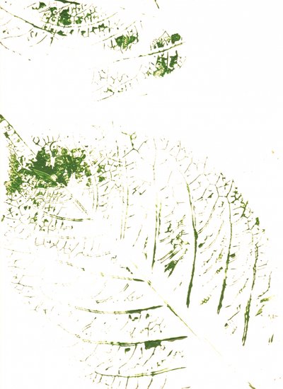 Mönster med gröna blad av Maira Ribena
