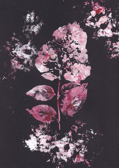 Rosa botanisk impression av Maira Ribena