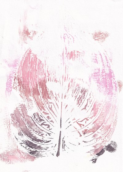 Rosa botaniskt blad av Maira Ribena