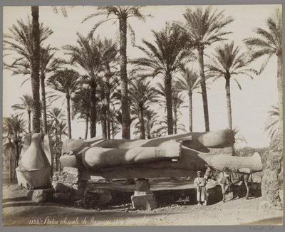 Liggande staty av Ramses II i Memphis, i förgrunden en pojke med en åsna Staty colossal de Ramesses II à Memphis (titel på objekt) av Maison Bonfils