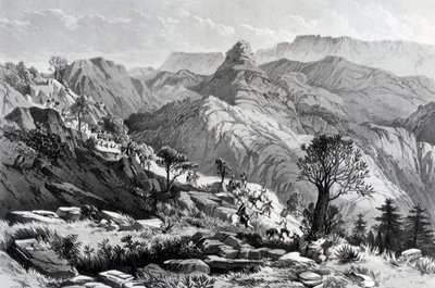 På marschen nära Dongolo, graverad av James Ferguson, 1868 av Major A.G.F. Hogg