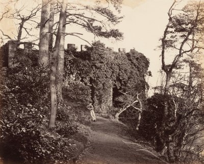 Vid Winterdyne vid Severn,1860-talet (foto) av Major Francis Gresley