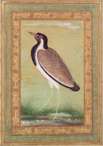 Indisk vipa, ca 1800 av Mansur