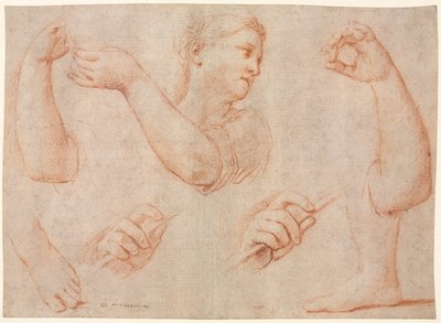 Studie av en ung kvinna som spelar en tamburin och studier av en arm, händer och fötter (Studier för "Miriam Leading the Chorus of Women Who Give Thanks for the Routing of Pharoah" av Marcantonio Franceschini