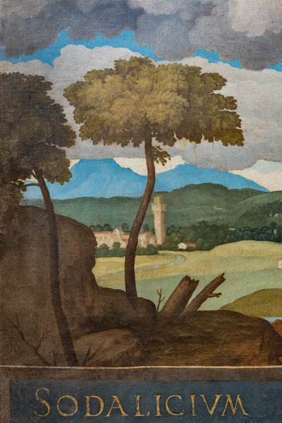 Detalj av staden Vicenza av Marcello Fogolino