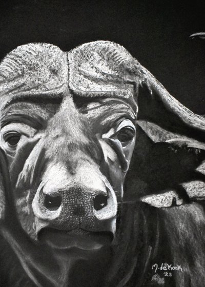 Buffalo av Marchelle de Kock