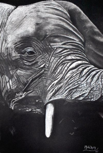 Porträtt av en majestätisk elefant av Marchelle de Kock