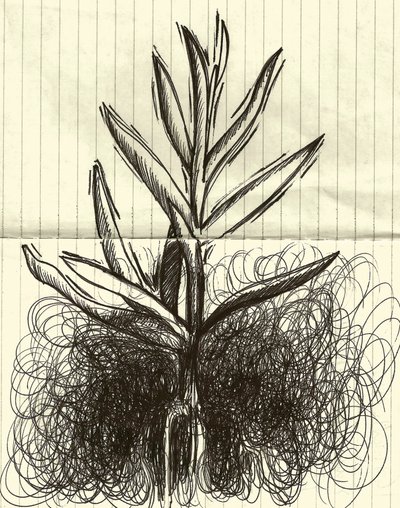 Plant, 2014 (tusch på papper) av Marco Campedelli