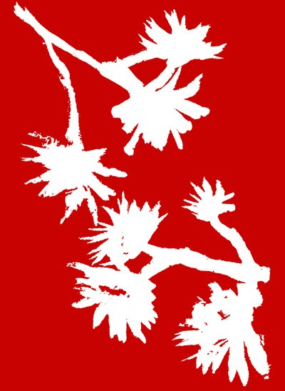 Succulent_1, 2022 (tusch på papper) av Marco Campedelli