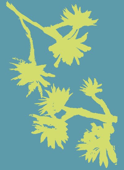 Succulent_2, 2022 (tusch på papper) av Marco Campedelli