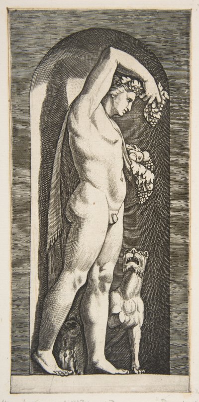 Bacchus stående i en nisch med druvor i sin upphöjda högra hand, frukt i sin l..., ca. 1515-27. av Marco Dente