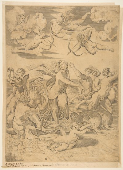 Galatea rider i ett skal som dras genom vattnet av delfiner, en cupid nedanför och f..., ca. 1515-27. av Marco Dente