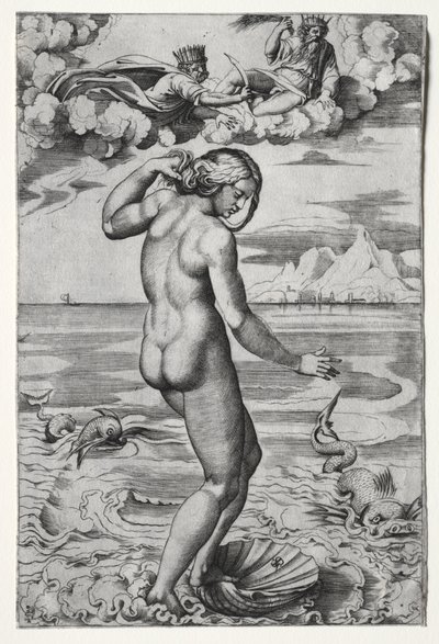 Venus födelse av Marco Dente
