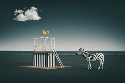 Surrealistisk strandzebra av Marcus Hennen