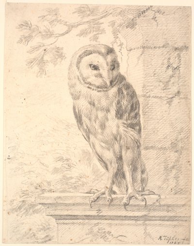 Baron von Stoschs ugle av Marcus Tuscher