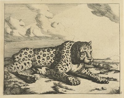 Leopard liggande till höger, tassar till betraktaren Leopards (serietitel) av Marcus de Bye