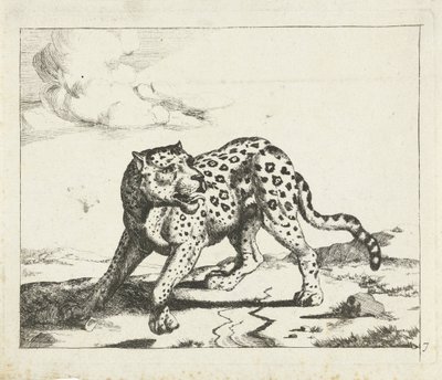 Leopard, stående till vänster, gå till höger Leopards (serietitel) av Marcus de Bye