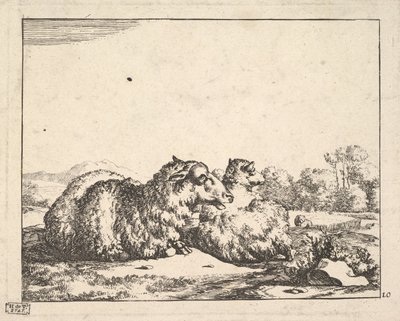 Får, från en uppsättning av 16 tallrikar, 1664. av Marcus de Bye