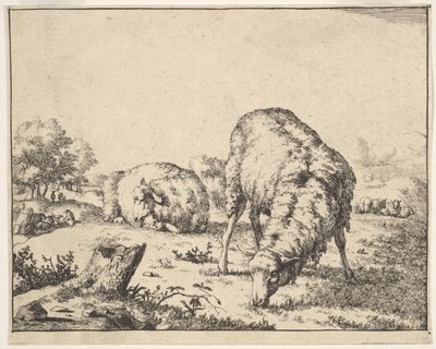 Får, från en uppsättning av 16 tallrikar, 1664. av Marcus de Bye