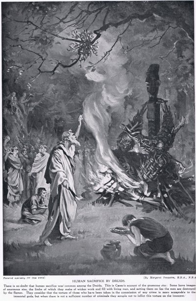 Druidernas människooffer, illustration från "Hutchinson
