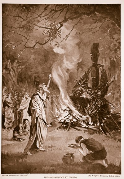 Druiderna offrar människor, illustration från "Hutchison