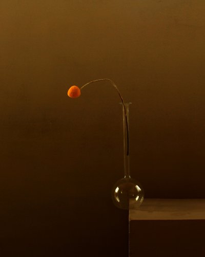 Minimalistisk apelsinblomma av Margaret Halaby