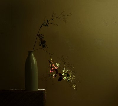 Stämningsfullt botaniskt stilleben av Margaret Halaby